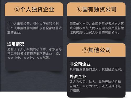 企業注銷全流程解析 商務代理代辦服務一站式解決方案