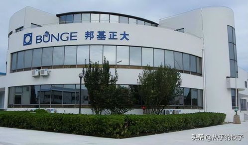 胖東來繞開國內油企，以自主采購保障食用油食品安全